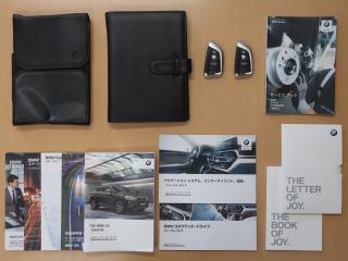 BMW X6 X-Drive35i Mスポーツ・パッケージ ワンオーナー セレクトパッケージ レッドレザー サンルーフ 第6世代i-DRIVEの画像20